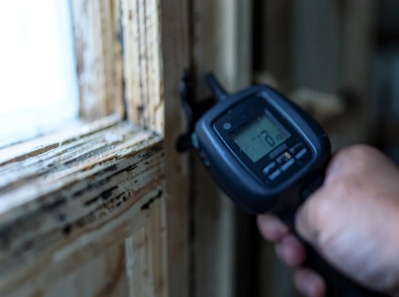 Commercial Water Damage Restoration in Portland, MI